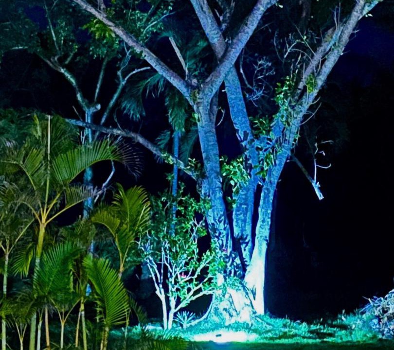 Photo of Others in Samana