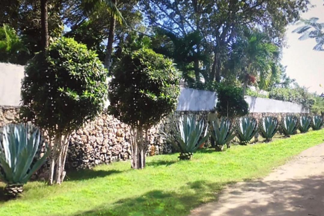 Photo of Others in Juan Dolio