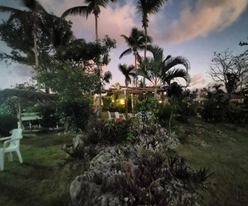 Photo of Others in Las Galeras