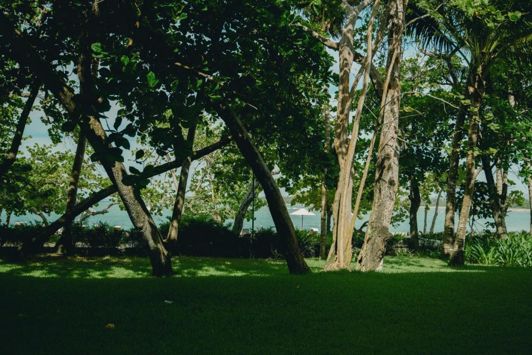 Photo of Others in Puerto Plata