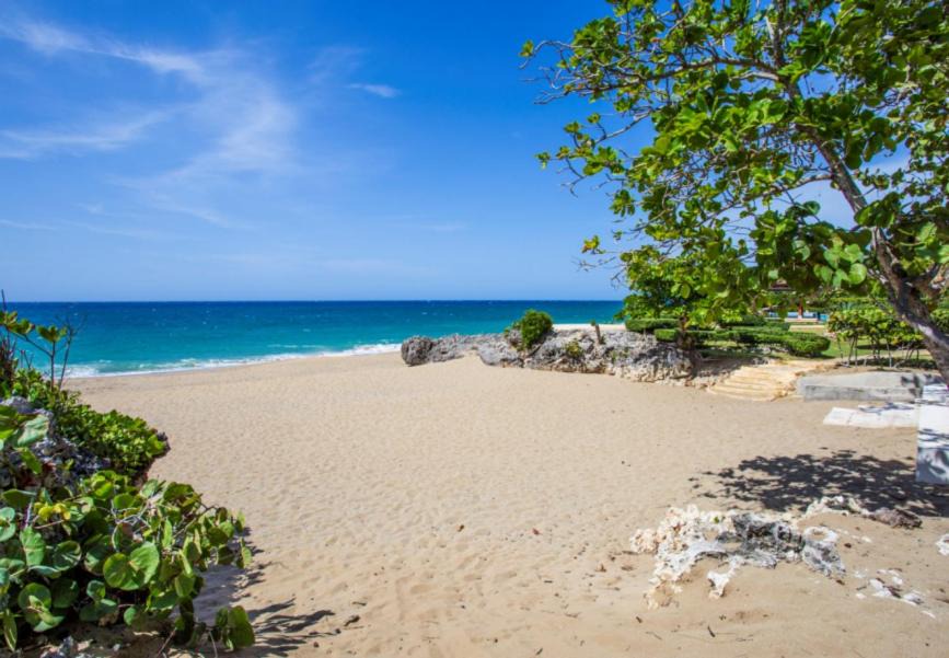 Photo of Others in Playa Chiquita