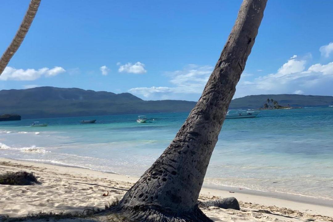 Photo of Others in Las Galeras