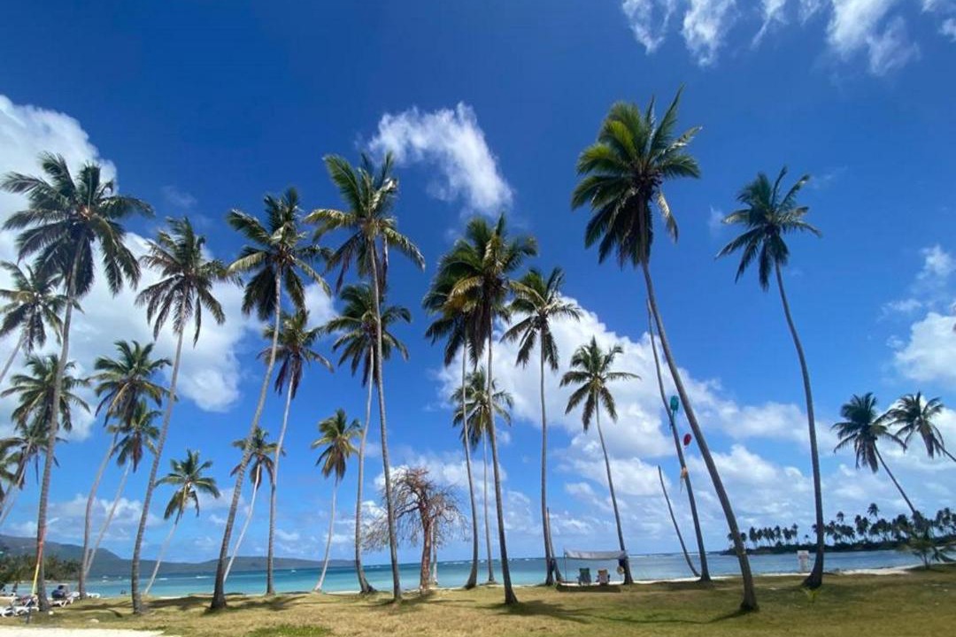 Photo of Others in Las Galeras
