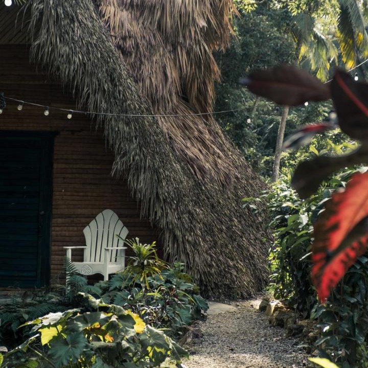 Photo of Others in Samana