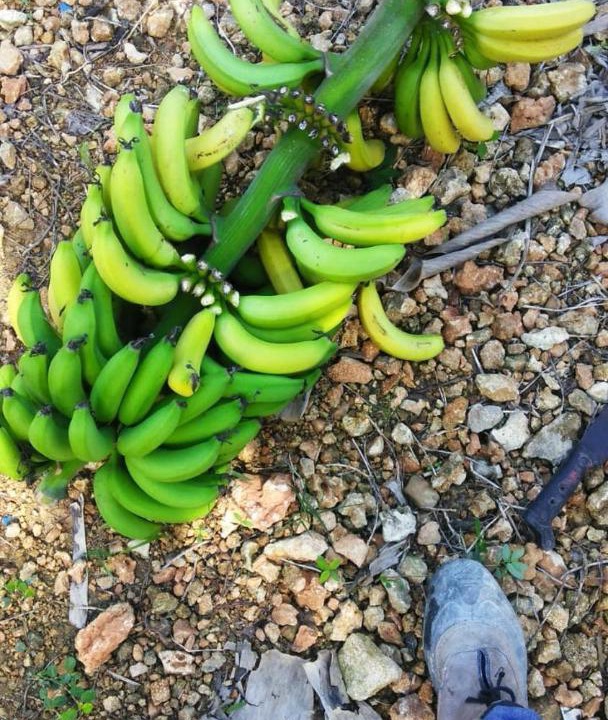 Photo of Others in Higuey