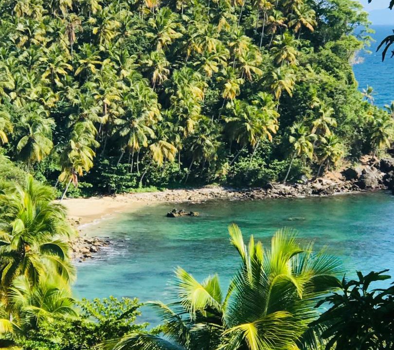 Photo of Others in Las Terrenas