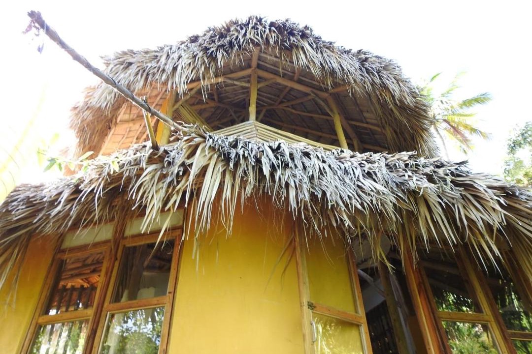 Photo of Others in El Limon