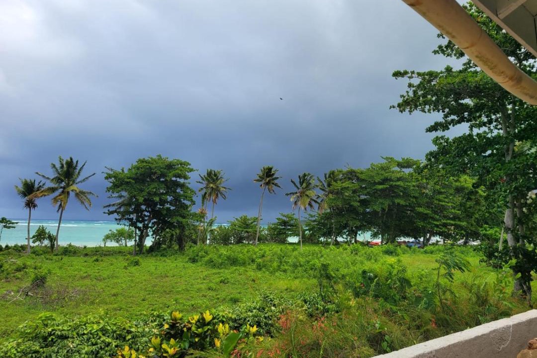 Photo of Others in Las Galeras