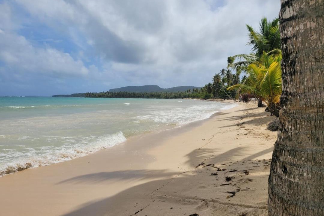Photo of Others in Las Galeras