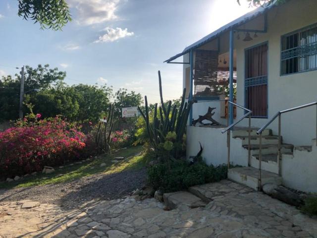 Photo of Others in Punta Rucia