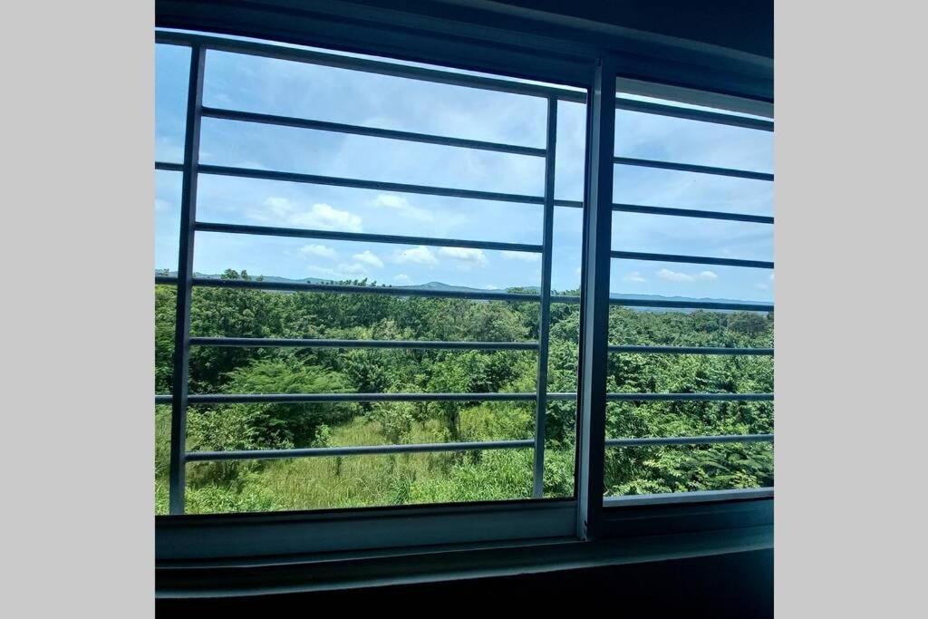 Photo of Others in Llanos de Gurabo I