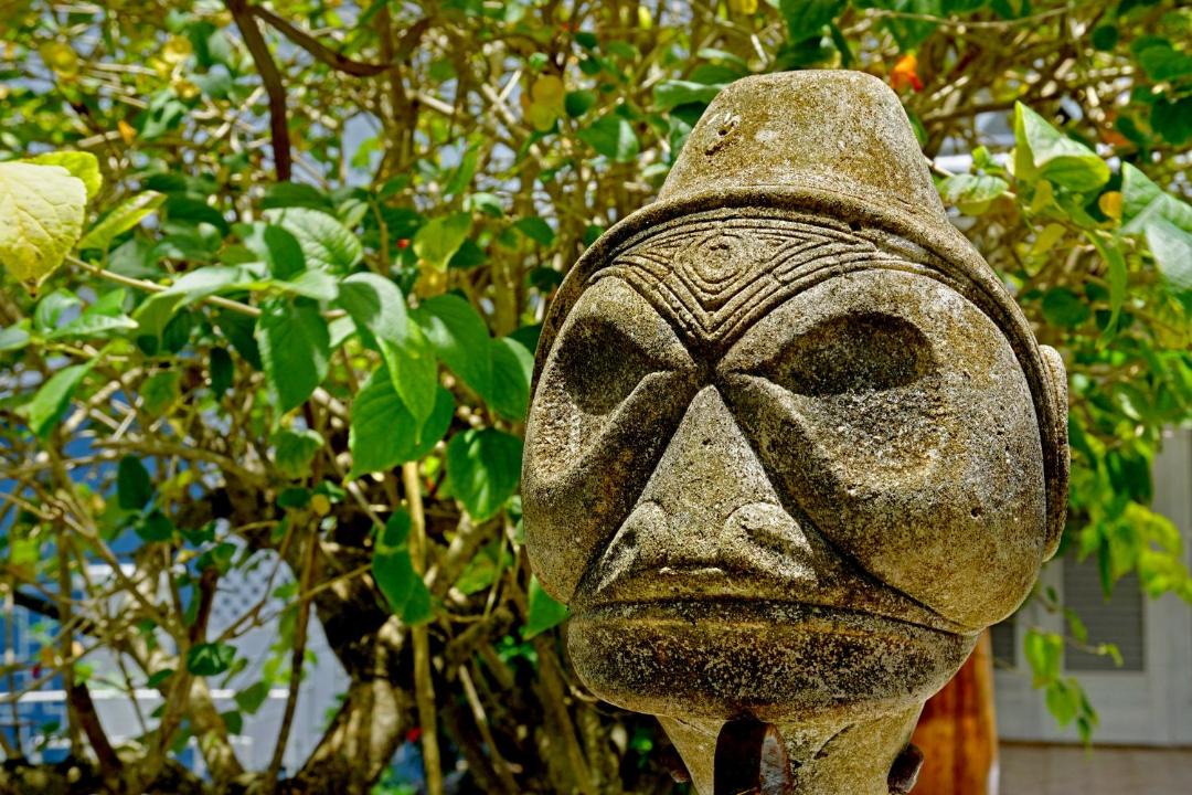 Photo of Others in Las Galeras