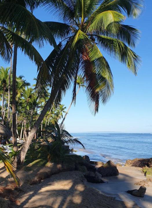 Photo of Others in Las Terrenas