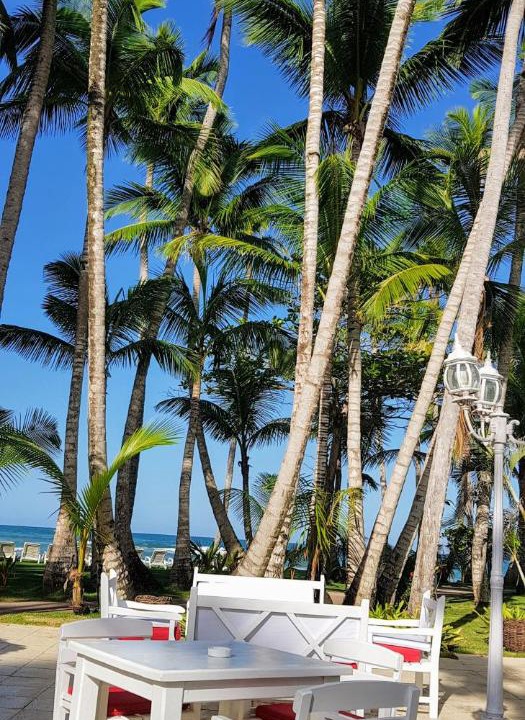 Photo of Others in Las Terrenas