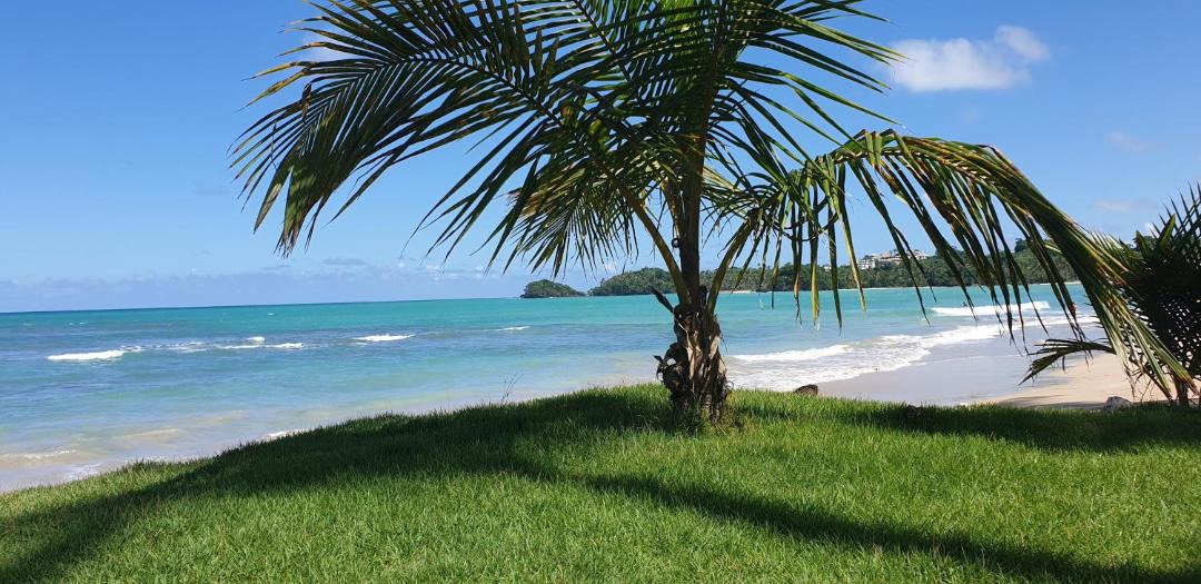 Photo of Others in Las Terrenas