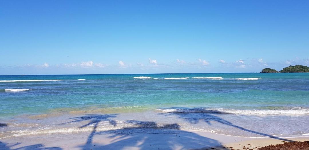 Photo of Others in Las Terrenas