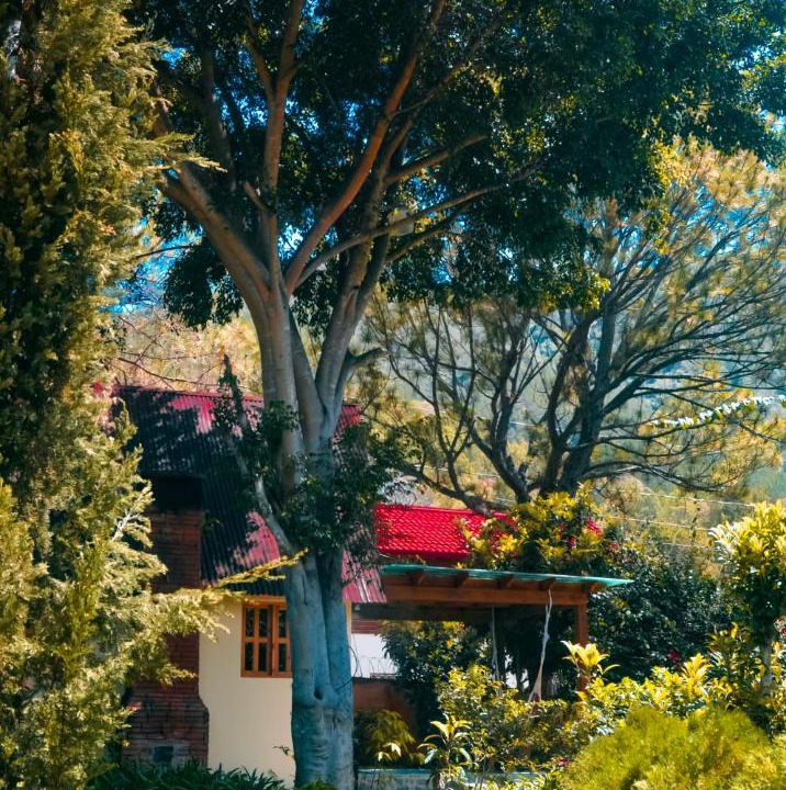 Photo of Others in Constanza