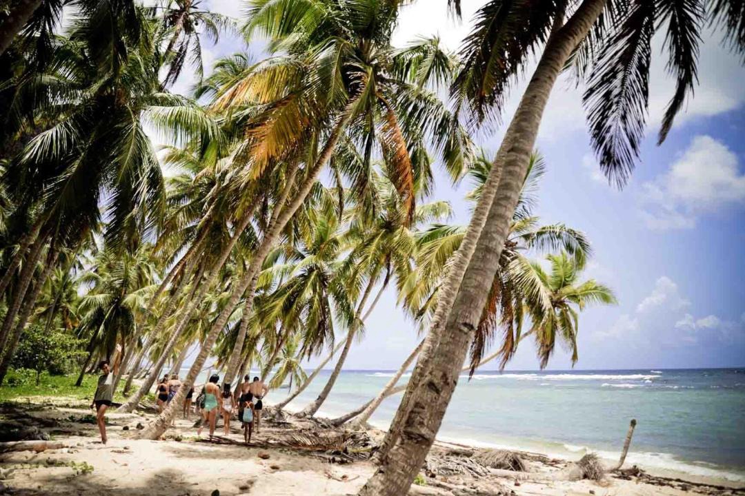 Photo of Others in Las Galeras