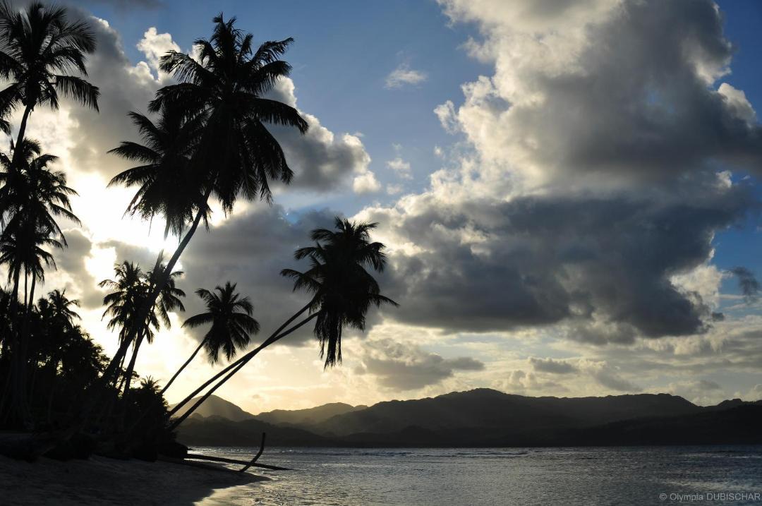 Photo of Others in Las Galeras