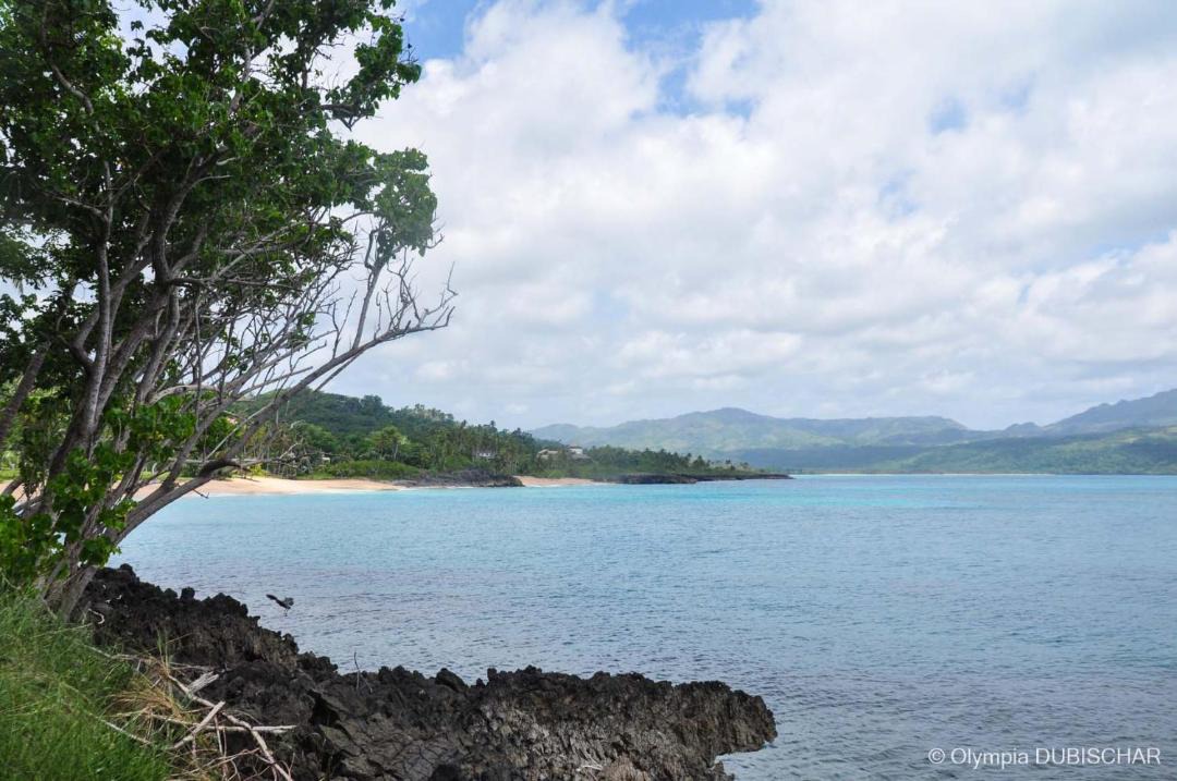 Photo of Others in Las Galeras