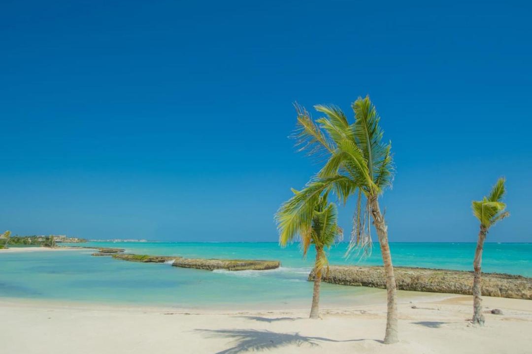 Photo of Others in Cap Cana Marina