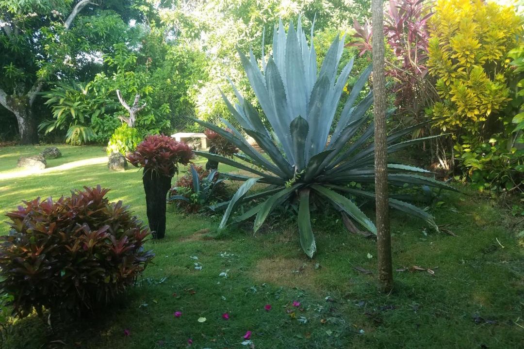 Photo of Others in San Cristobal