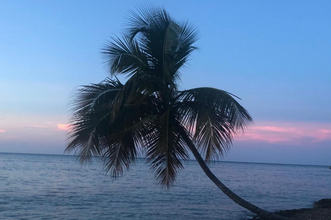 Photo of Others in Las Galeras