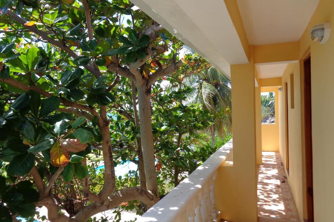Photo of Others in Guayacanes