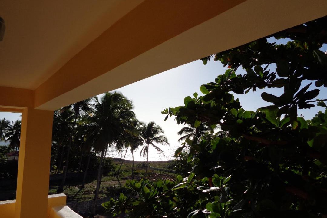 Photo of Others in Guayacanes
