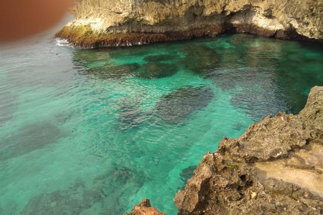 Photo of Others in Guayacanes