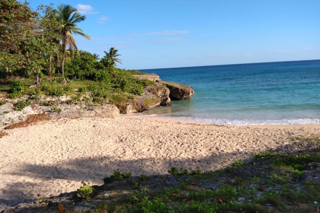 Photo of Others in Guayacanes