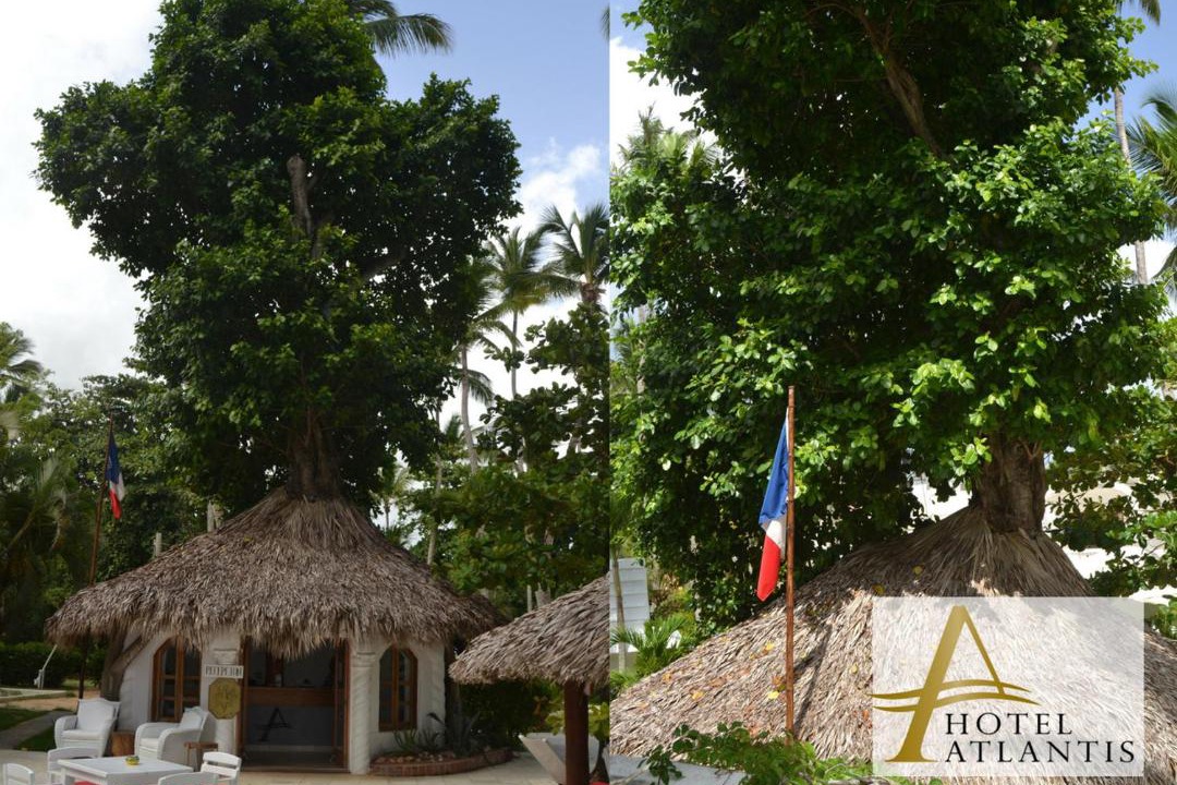 Photo of Others in Las Terrenas