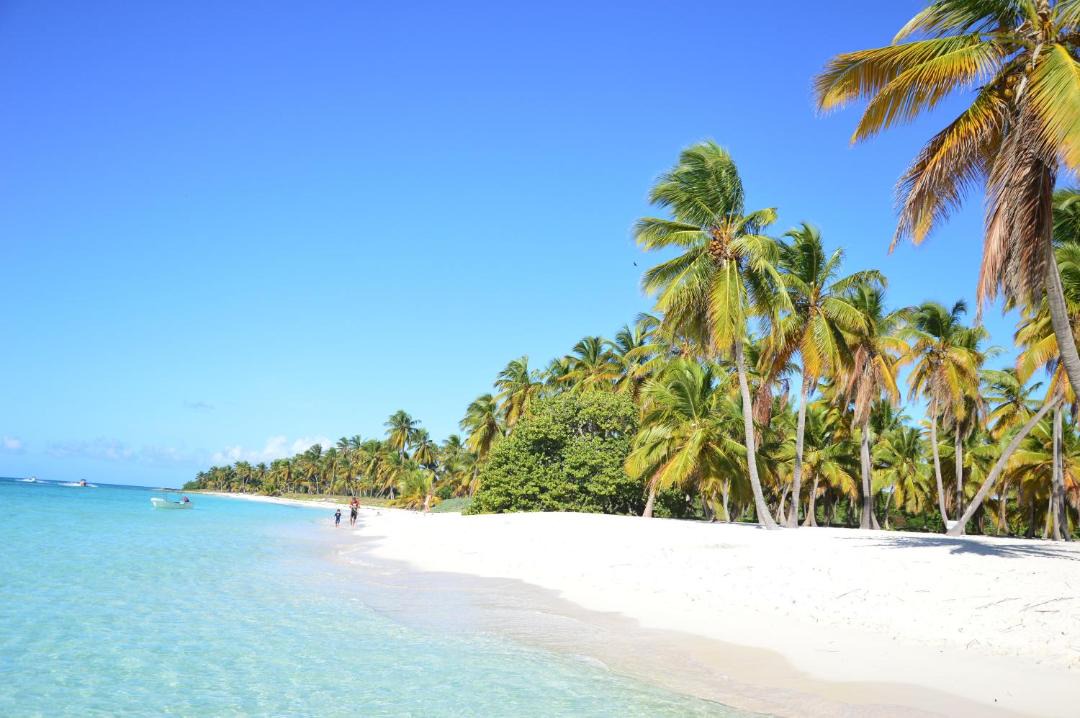 Photo of Others in Dominicus