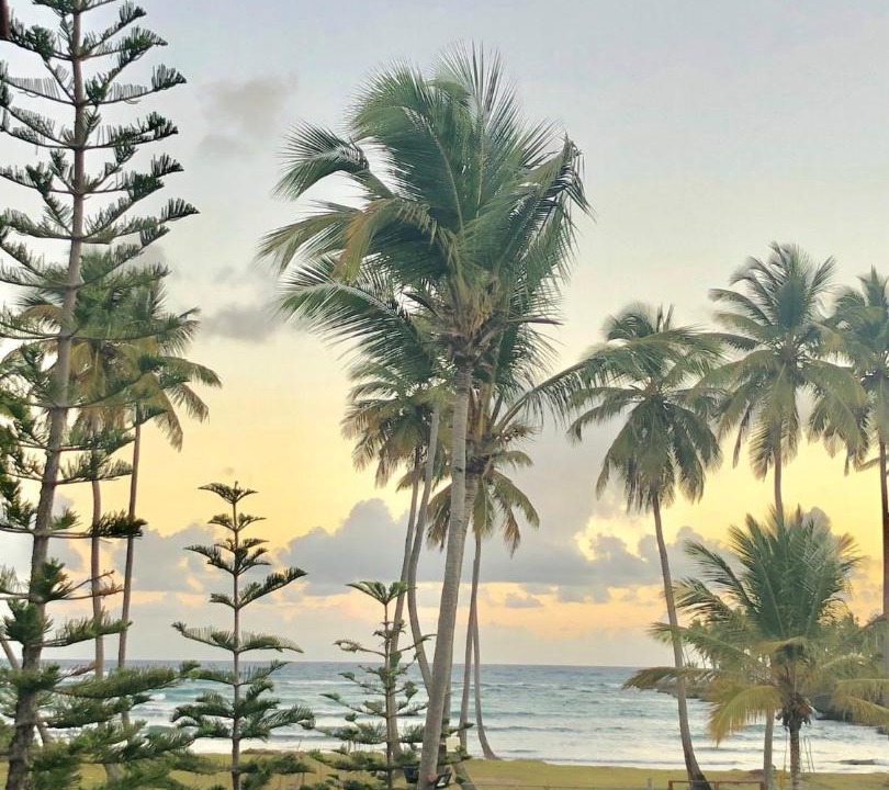 Photo of Others in Las Galeras