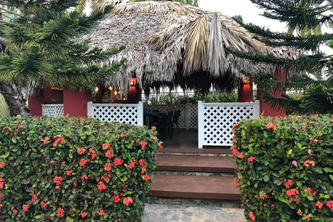 Photo of Others in Las Galeras