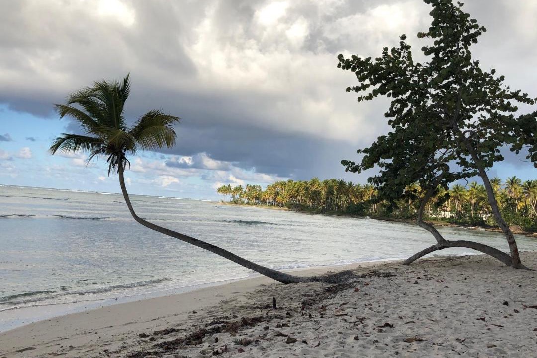 Photo of Others in Las Galeras
