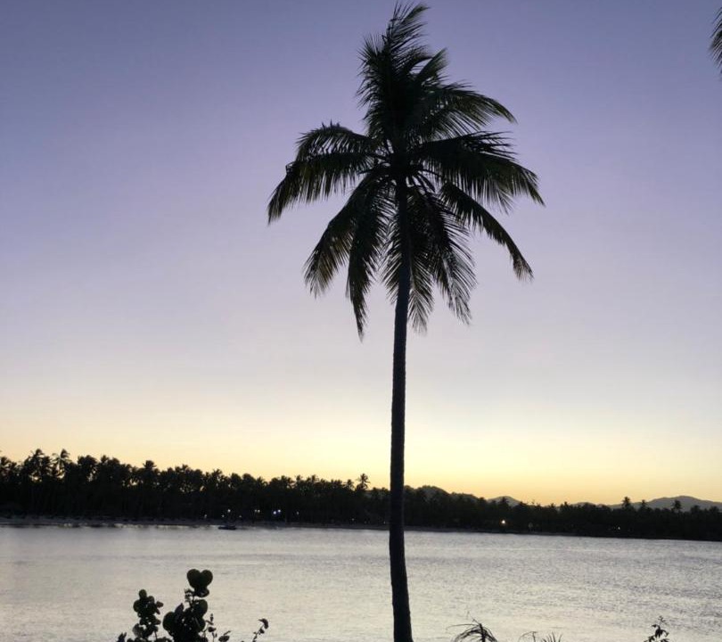 Photo of Others in Las Galeras