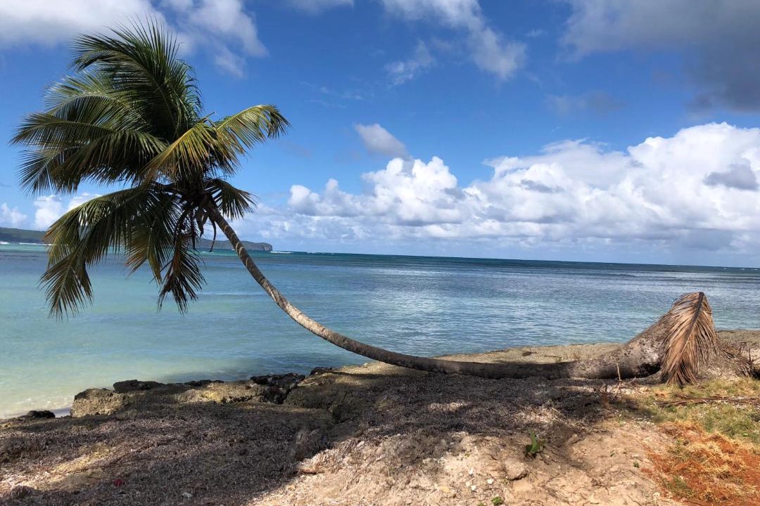 Photo of Others in Las Galeras