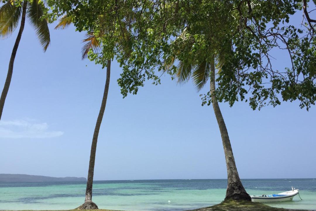 Photo of Others in Las Galeras
