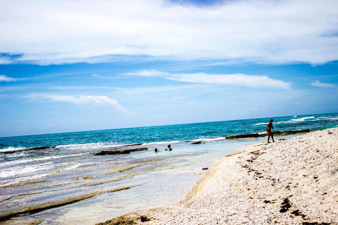 Photo of Others in South Coast