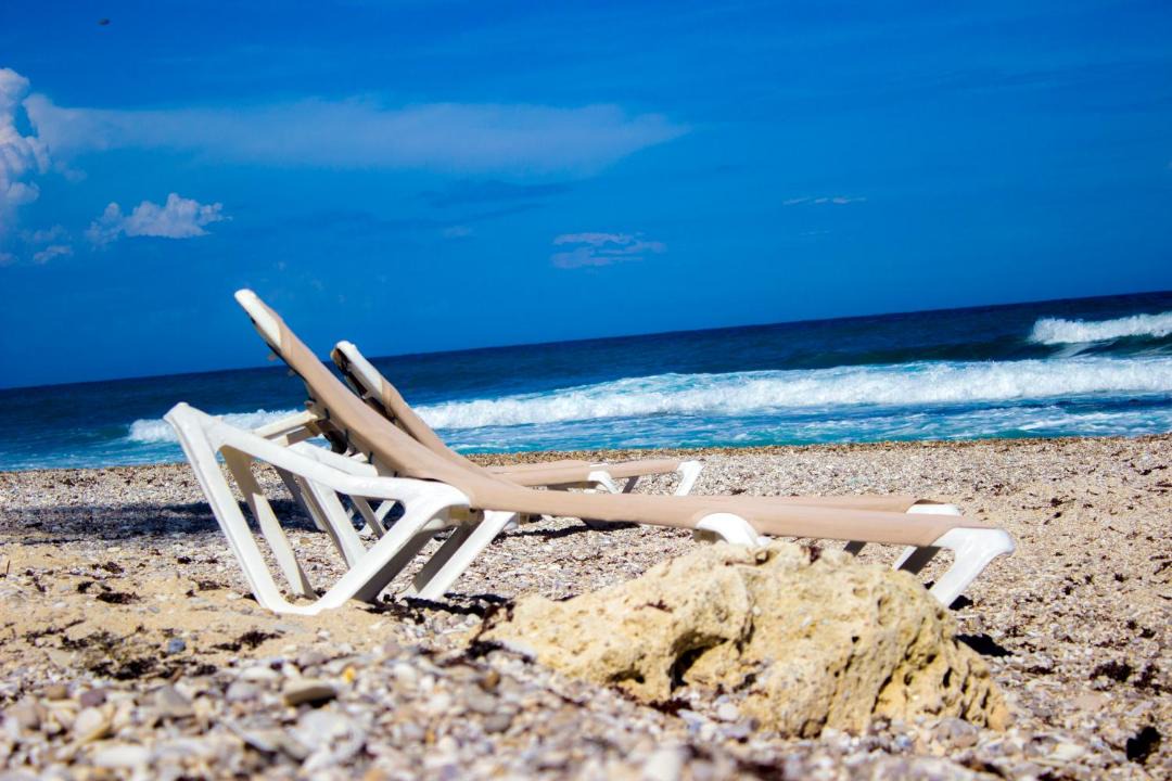 Photo of Others in South Coast