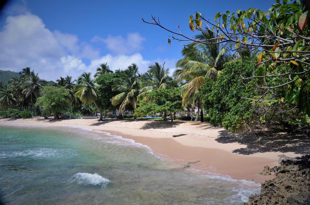 Photo of Others in Samana