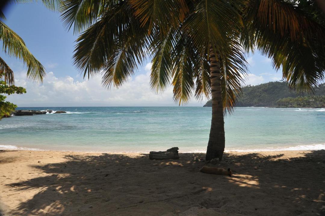 Photo of Others in Samana