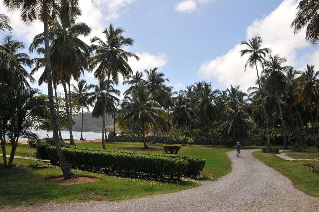 Photo of Others in Samana