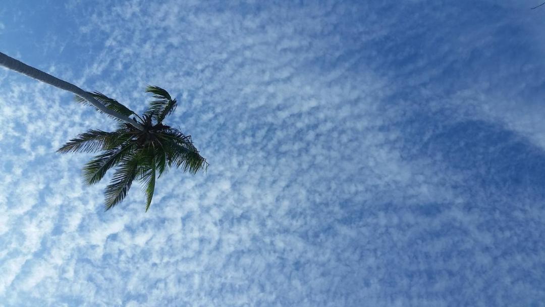 Photo of Others in Las Galeras