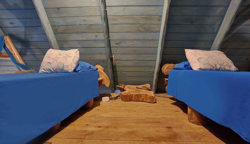 Family Cabin