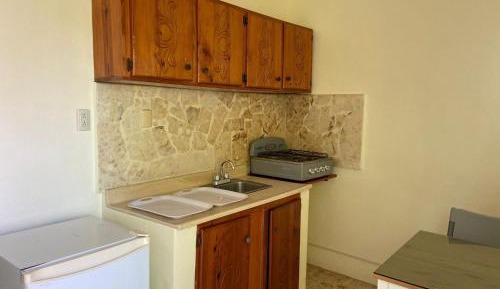 Apartment with Shower