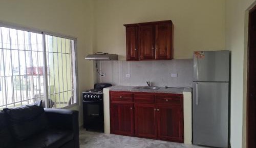 Classic One-Bedroom Apartment with King Bed