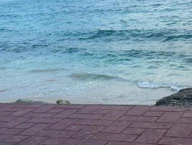 One-Bedroom Apartment - Oceanfront