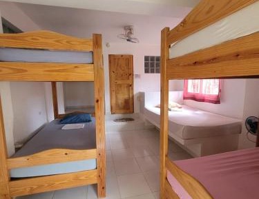 Single Bed in Female Dormitory Room